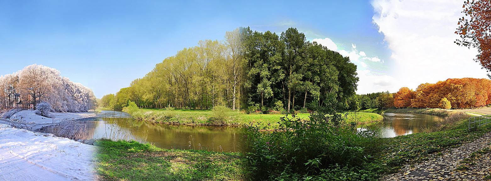 Panoramen